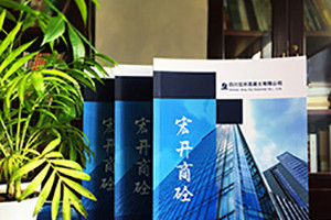 企業(yè)宣傳畫冊設計主要有哪些內(nèi)容板塊