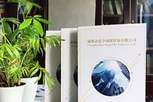 企業(yè)宣傳冊設計怎么做 除了新穎大氣的設計風格還有哪些設計方法？