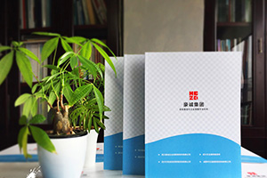 企業(yè)畫冊(cè)設(shè)計(jì)怎么做？畫冊(cè)制作的通用方法思考
