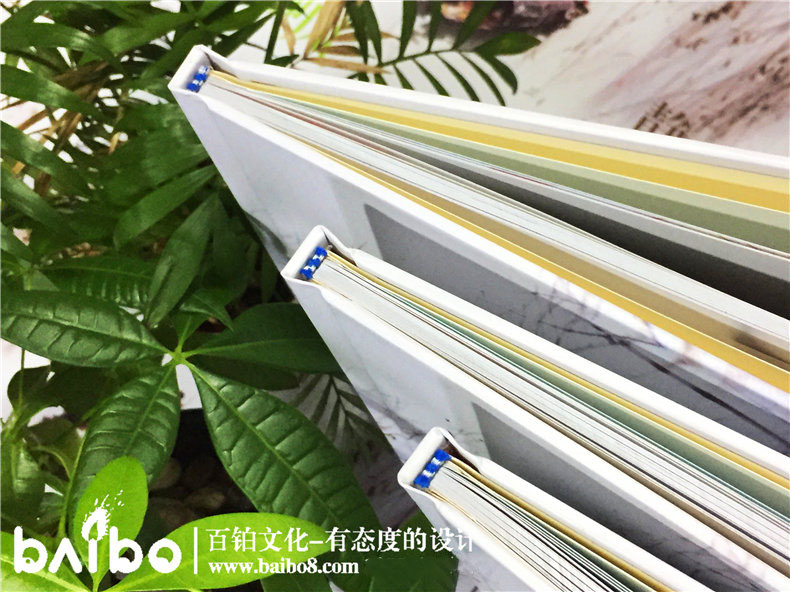 同學(xué)紀(jì)念冊設(shè)計(jì)重點(diǎn)內(nèi)容有什么