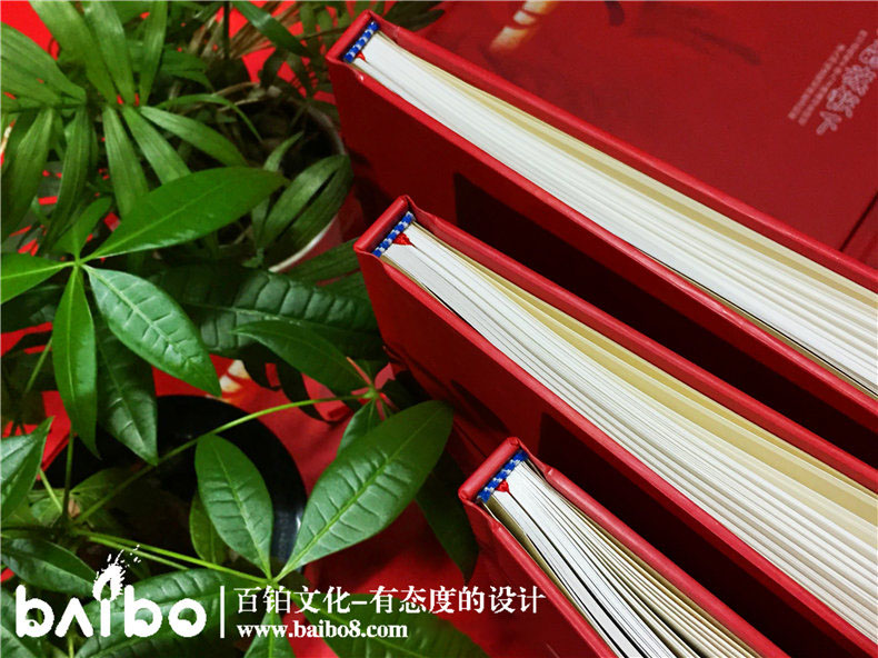 周年紀(jì)念畫(huà)冊(cè)設(shè)計(jì)內(nèi)容
